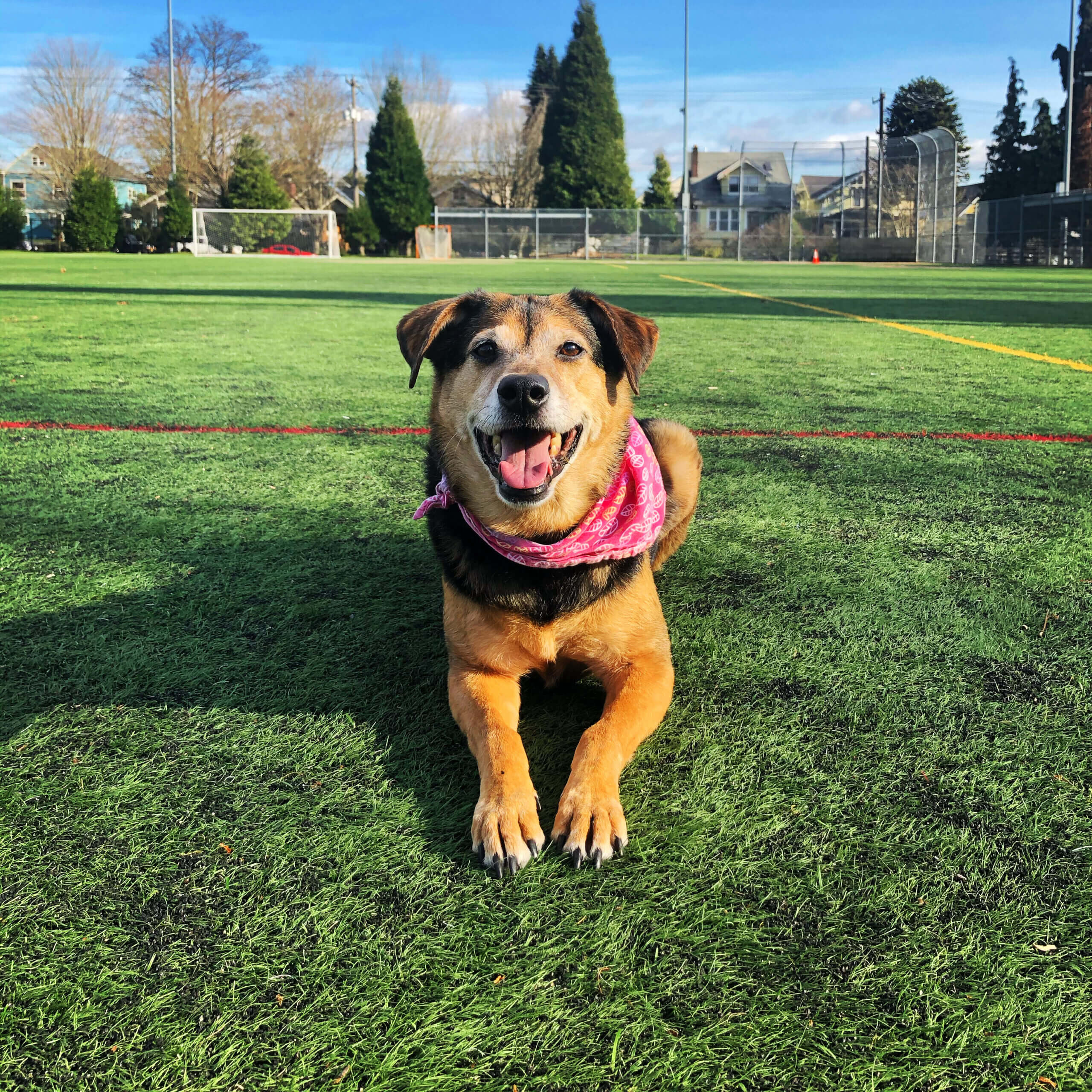 hera